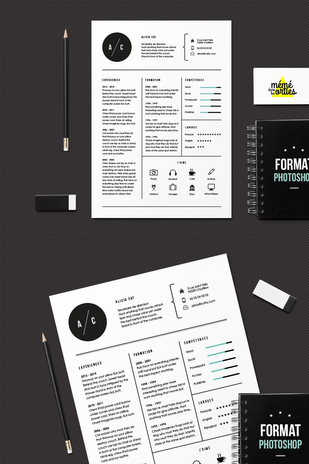 Cat - Resume template Photoshop pinterest preview image.