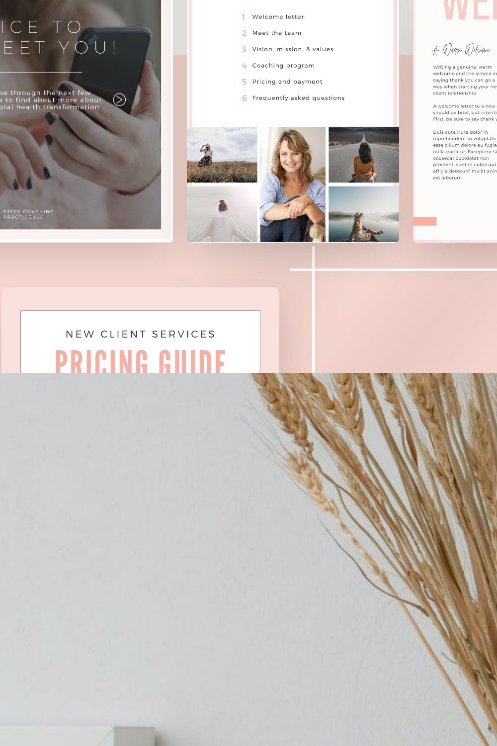 Client Service & Pricing Guide Coach pinterest preview image.
