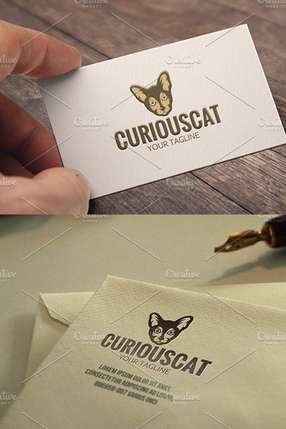 Curious Cat pinterest preview image.