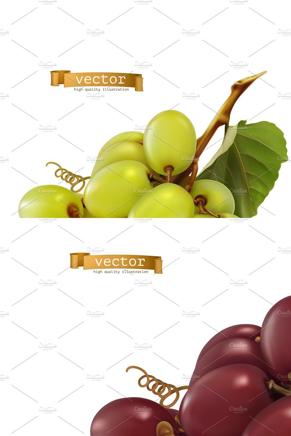 Dessert grapes for wine, vector set pinterest preview image.