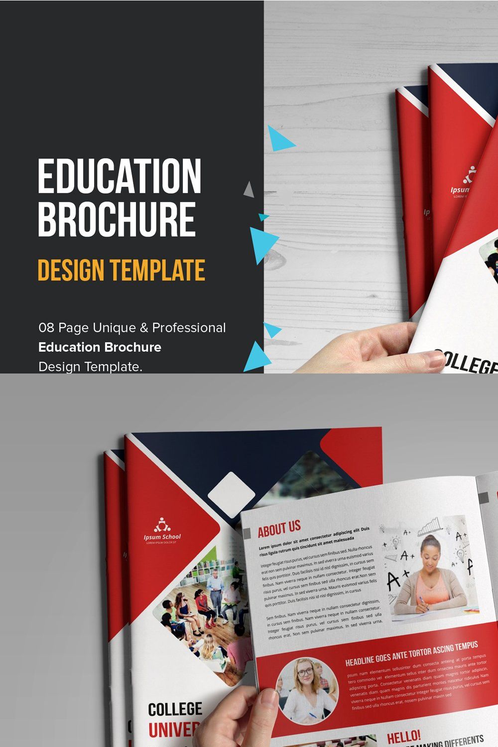 education leaflet template