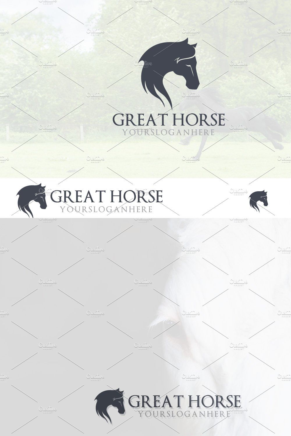 Elegant Horse Head Long Hair Logo pinterest preview image.