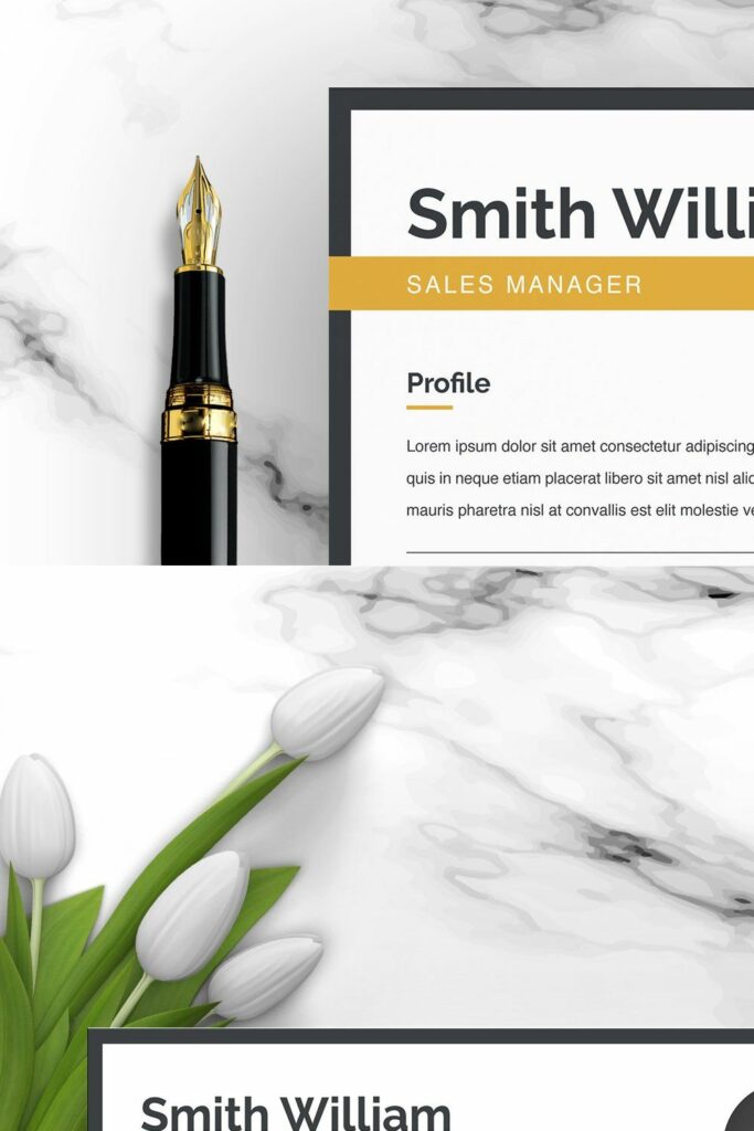 Executive Resume / CV Template – MasterBundles
