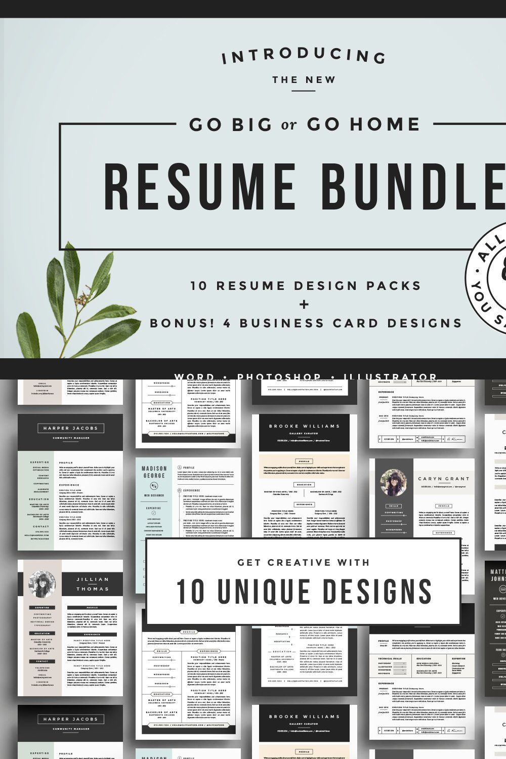 Go Big or Go Home! The Resume Bundle pinterest preview image.
