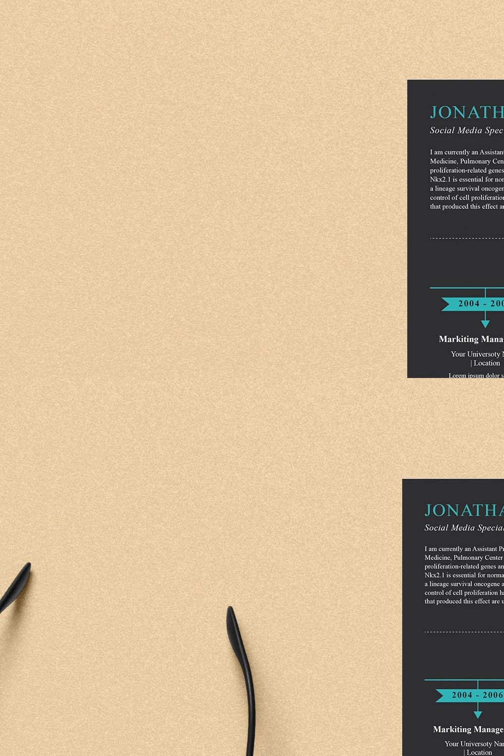 Infographic Resume/CV pinterest preview image.
