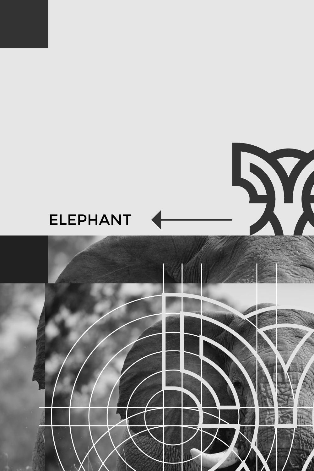 Logo Concept Letter M & Elephant pinterest preview image.