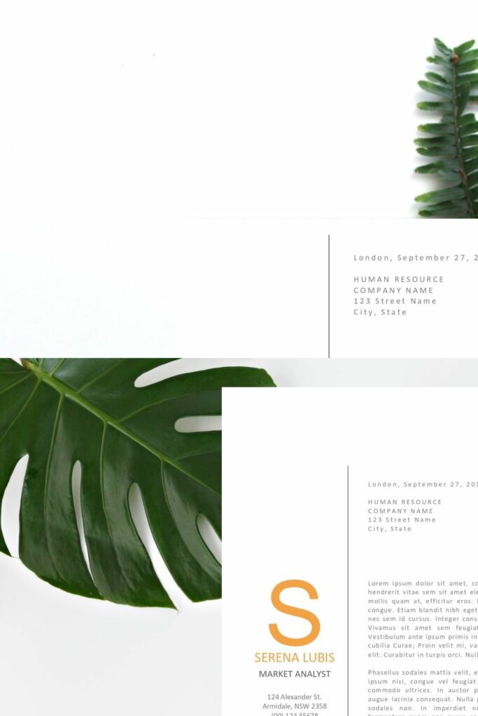 Minimalist Resume VC MasterBundles - Pimg Minimalist Resume Vc 316 683x1024 