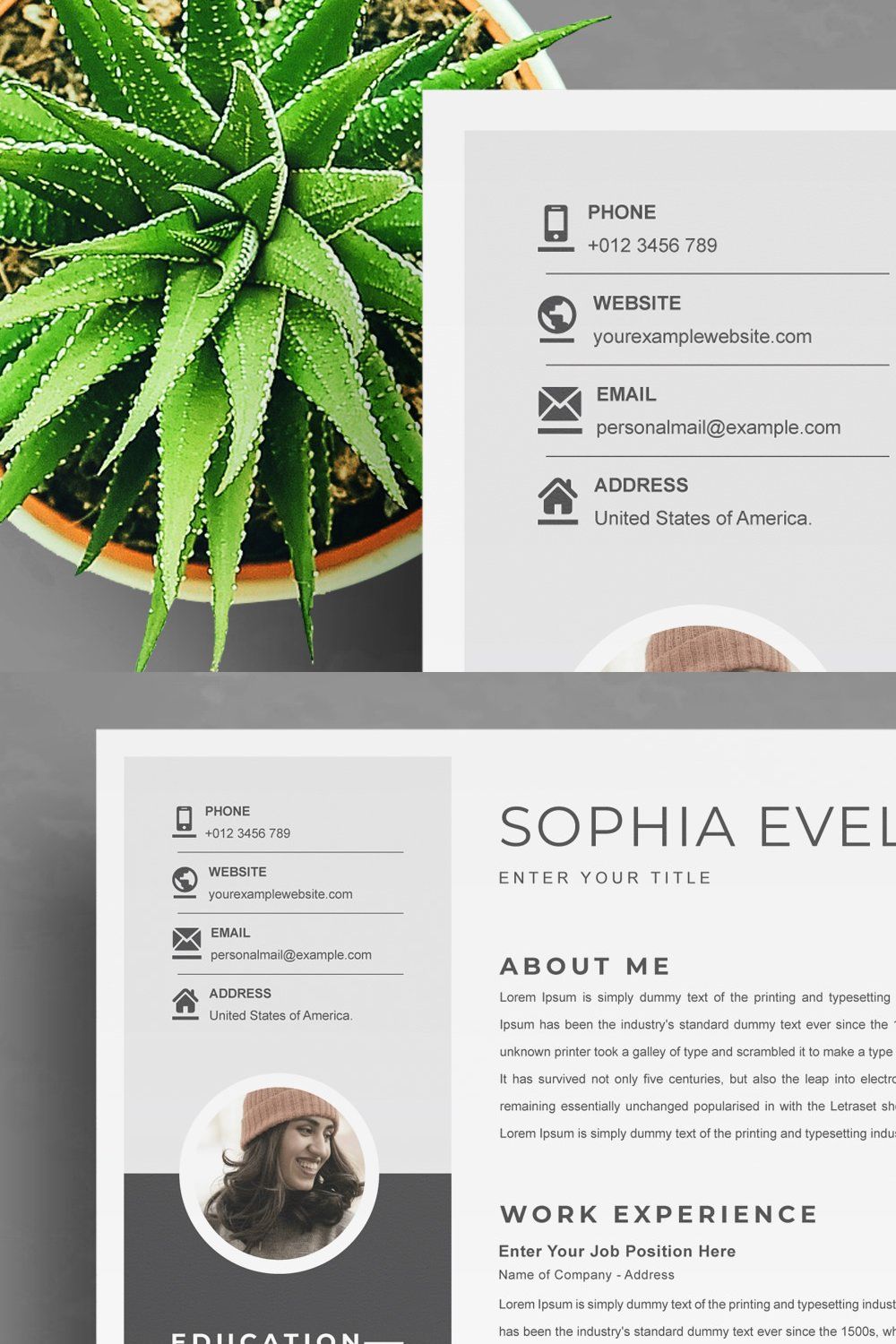 Modern Executive Resume Template pinterest preview image.