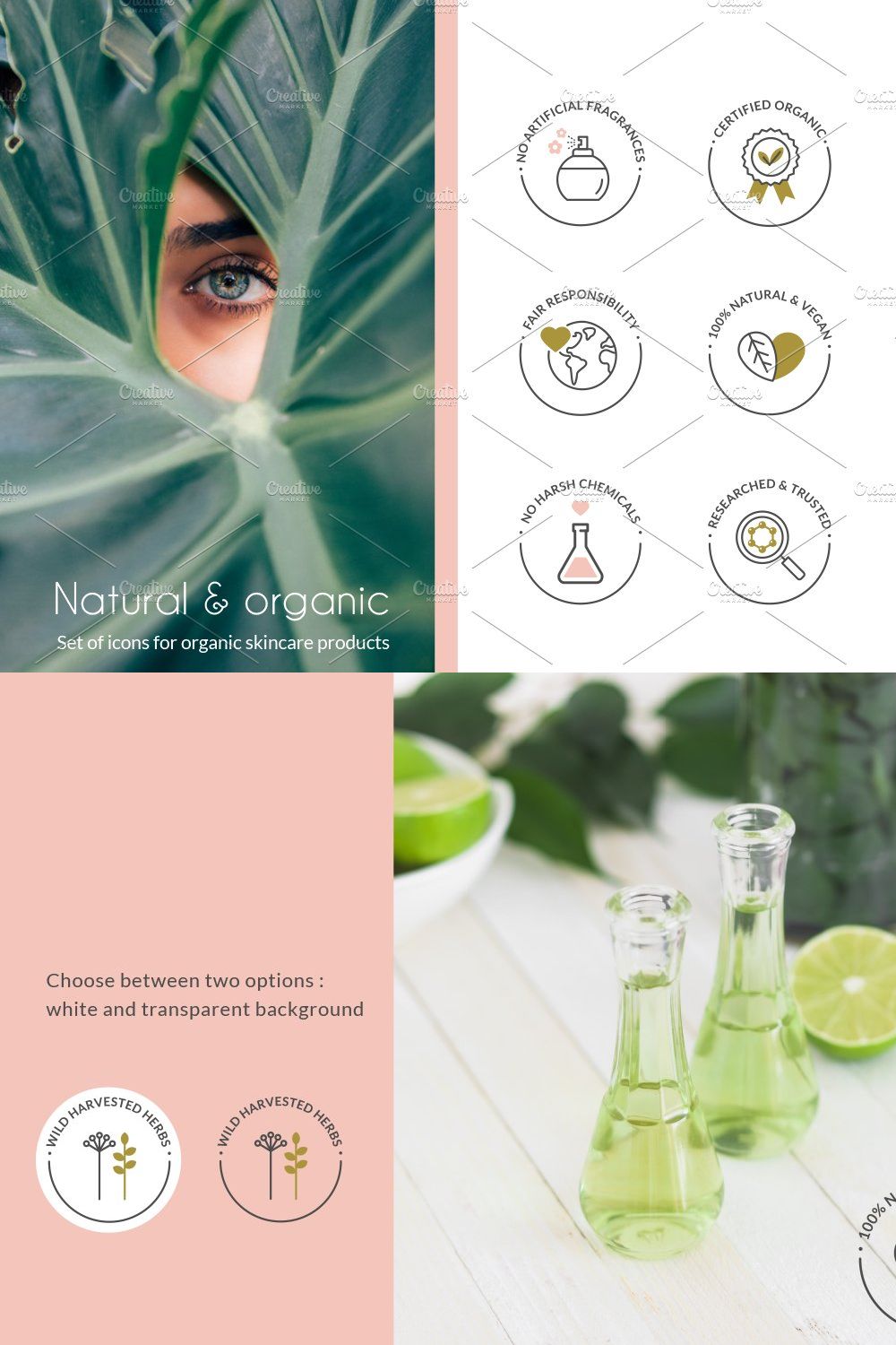 Natural and organic products icons pinterest preview image.