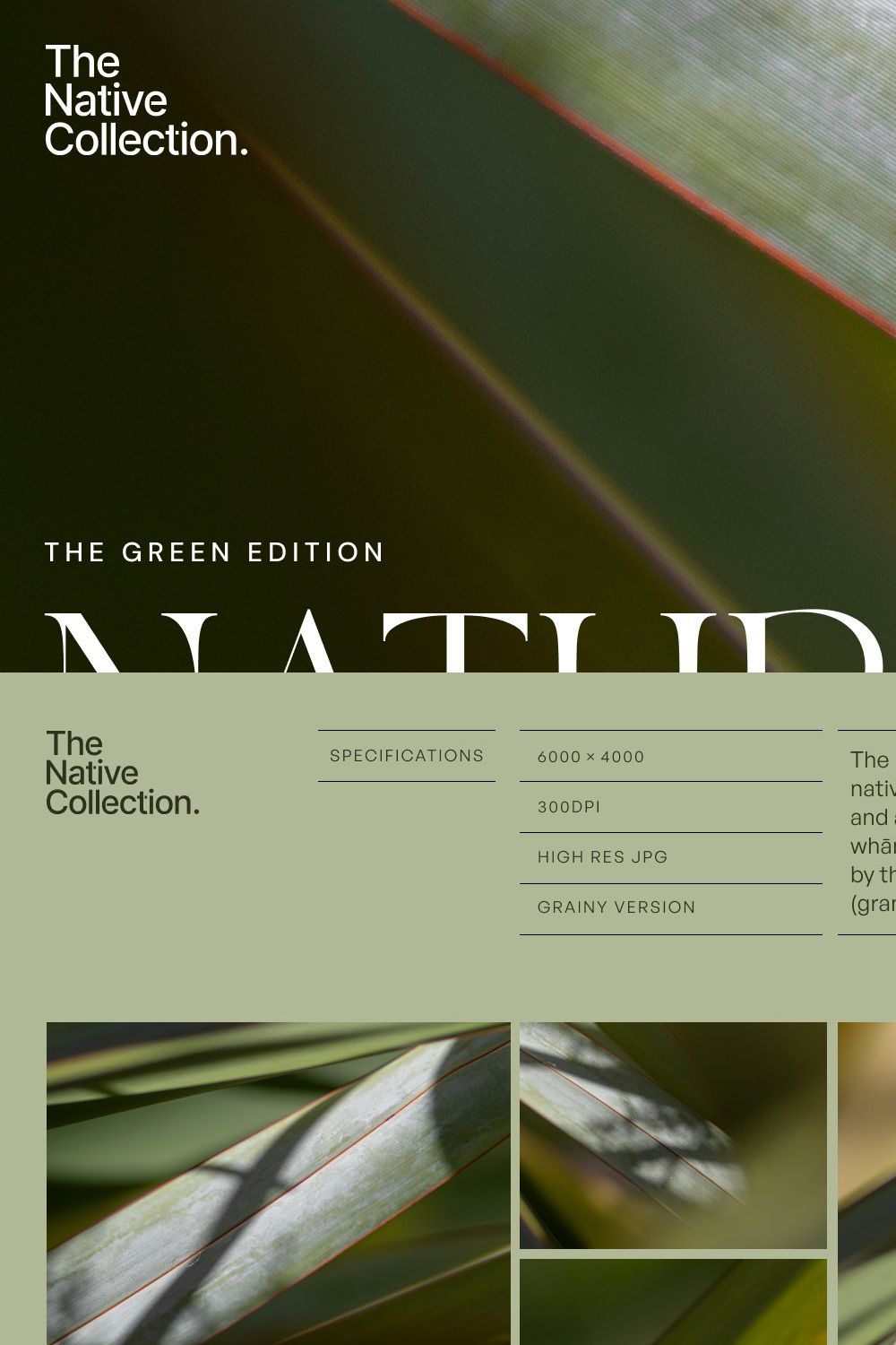 Natural textures - Green edition v01 pinterest preview image.