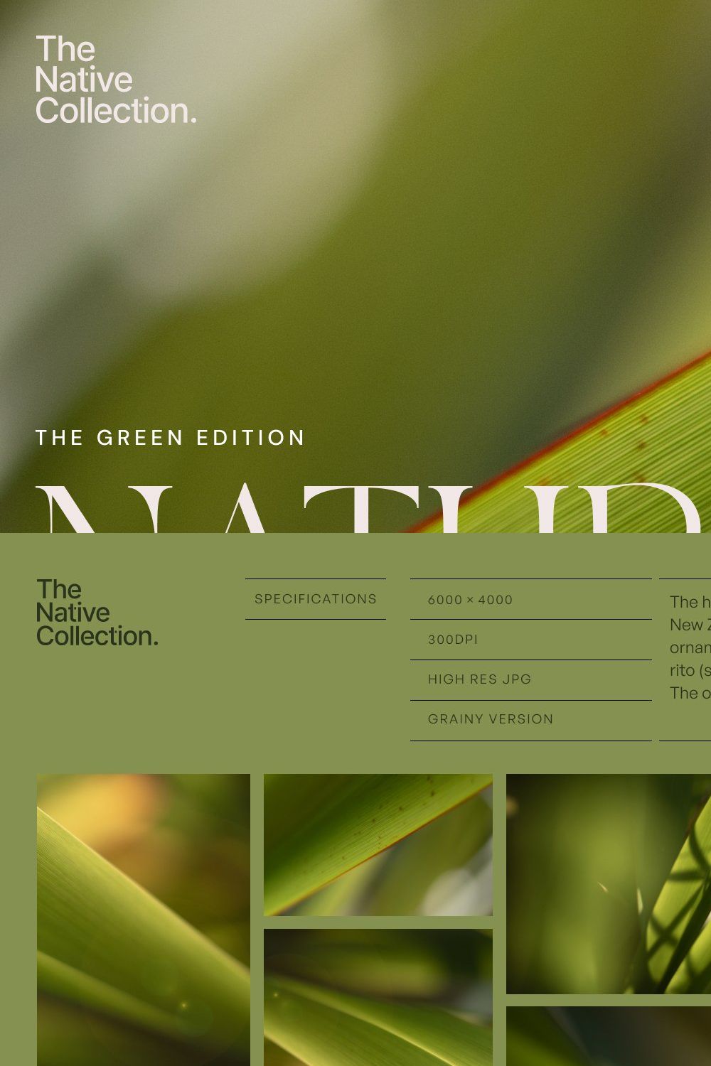 Natural textures - Green edition v02 pinterest preview image.