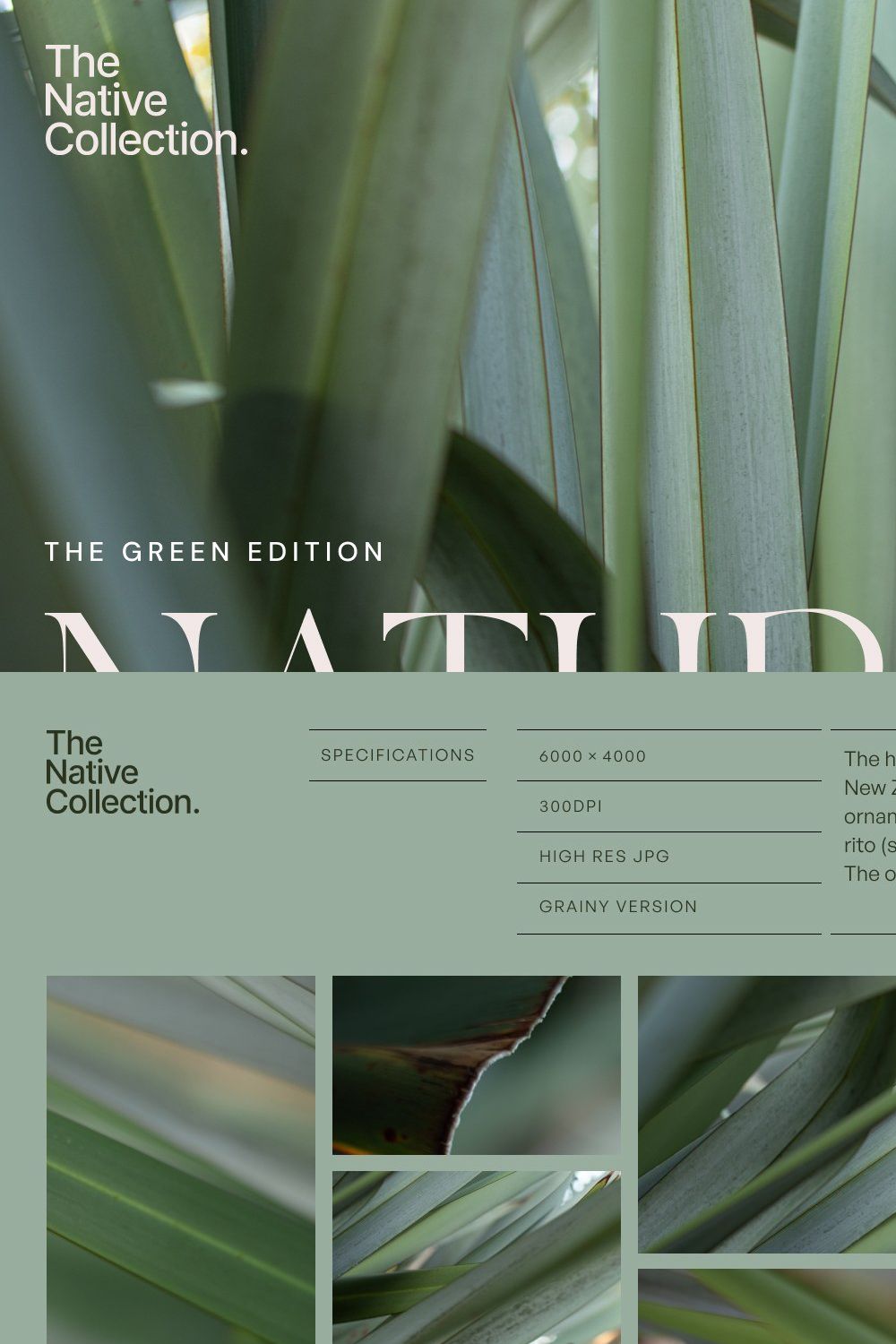 Natural textures - Green edition v03 pinterest preview image.