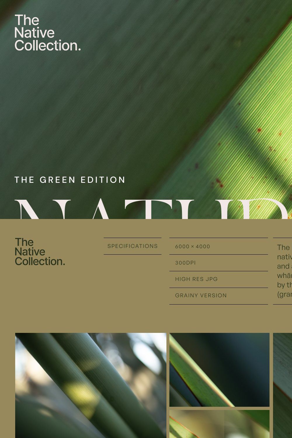 Natural textures - Green edition v04 pinterest preview image.