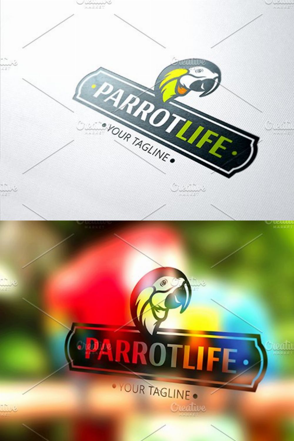 Parrot Life pinterest preview image.