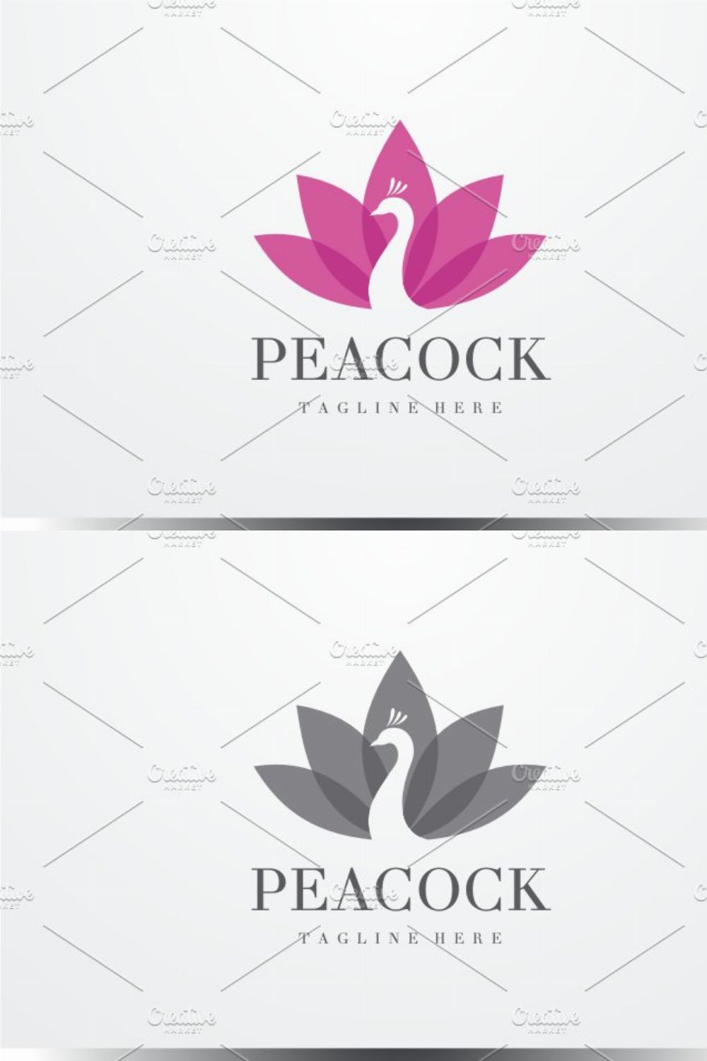 Peacock Logo pinterest preview image.