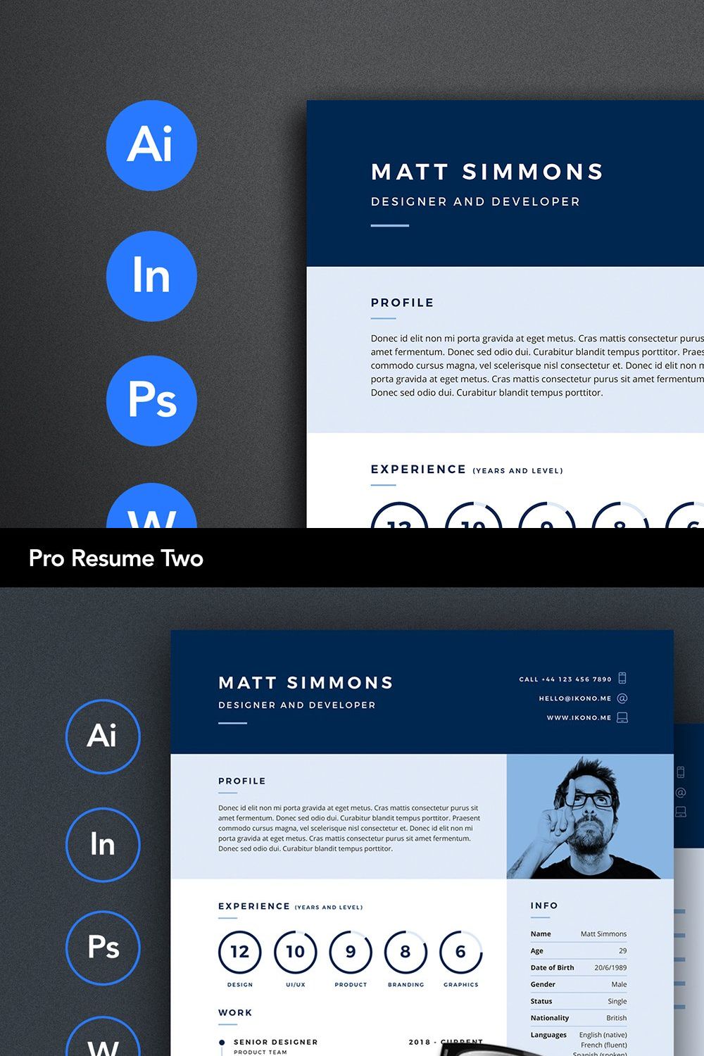 Pro Resume 2 pinterest preview image.