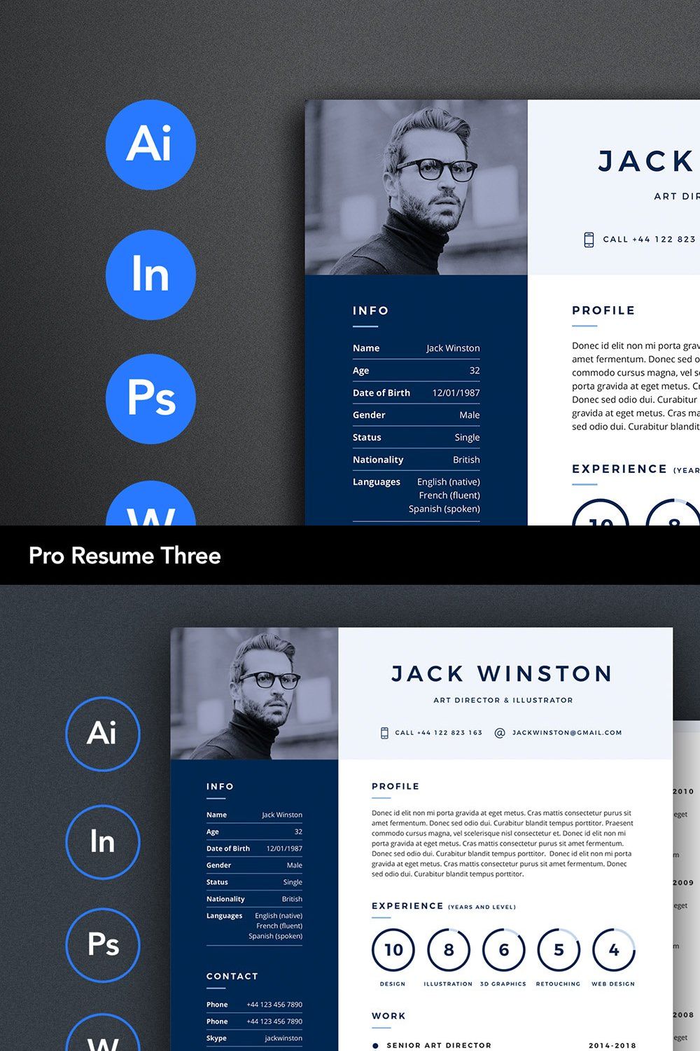 PRO Resume 3 pinterest preview image.