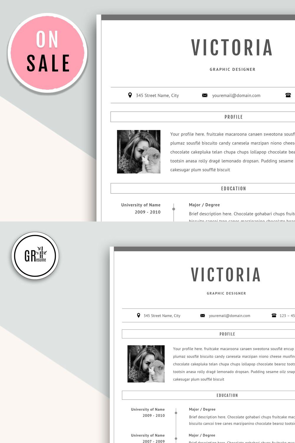 Professional CV Resume Template pinterest preview image.