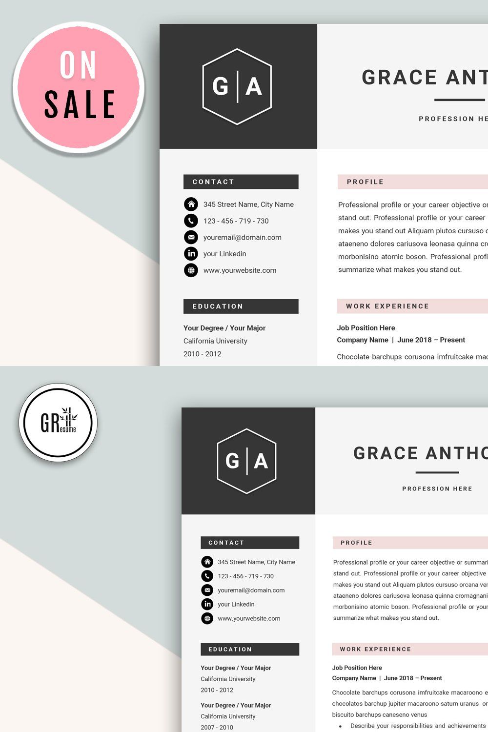 Professional CV Resume Template pinterest preview image.
