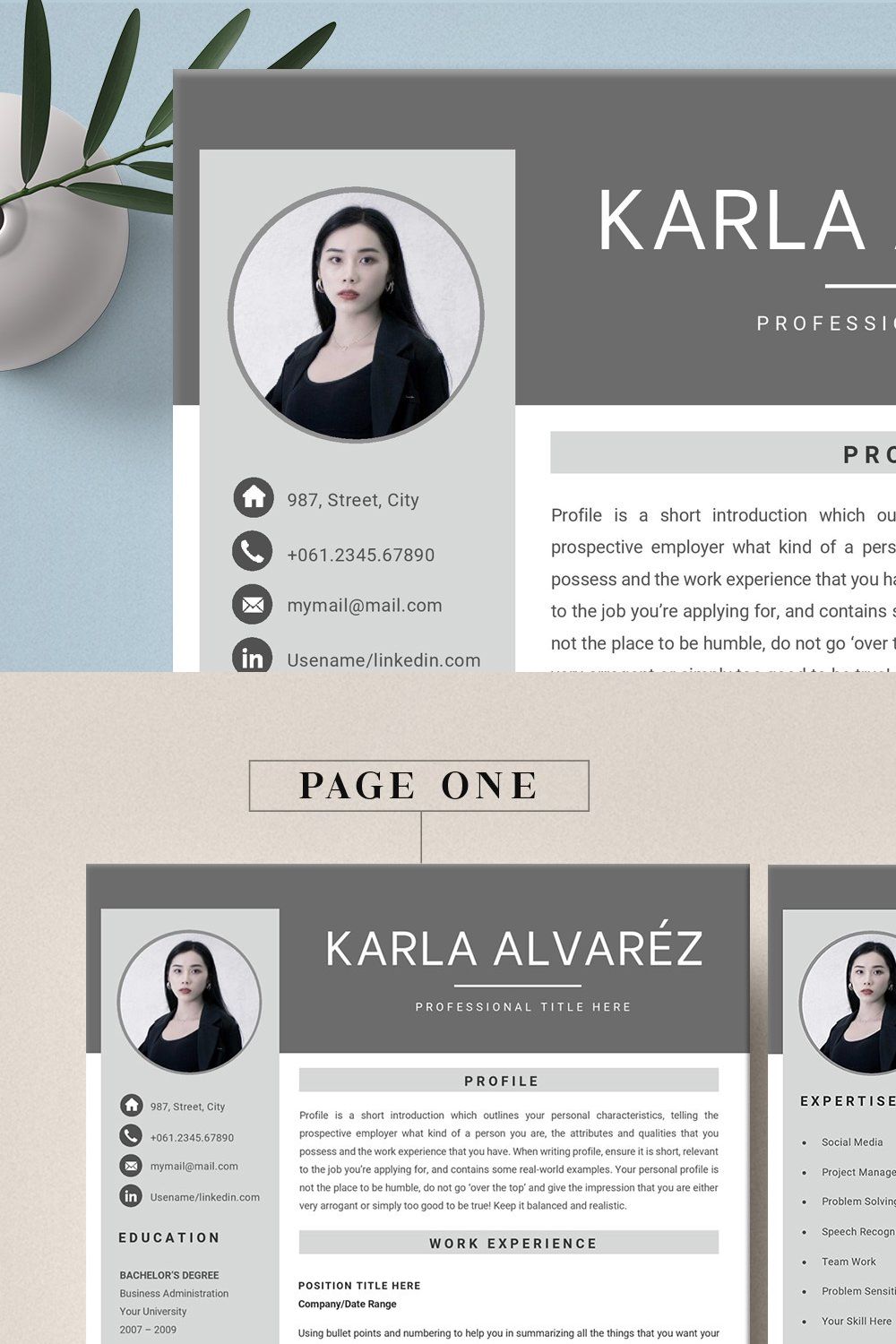 Professional CV Template 4 Pages pinterest preview image.