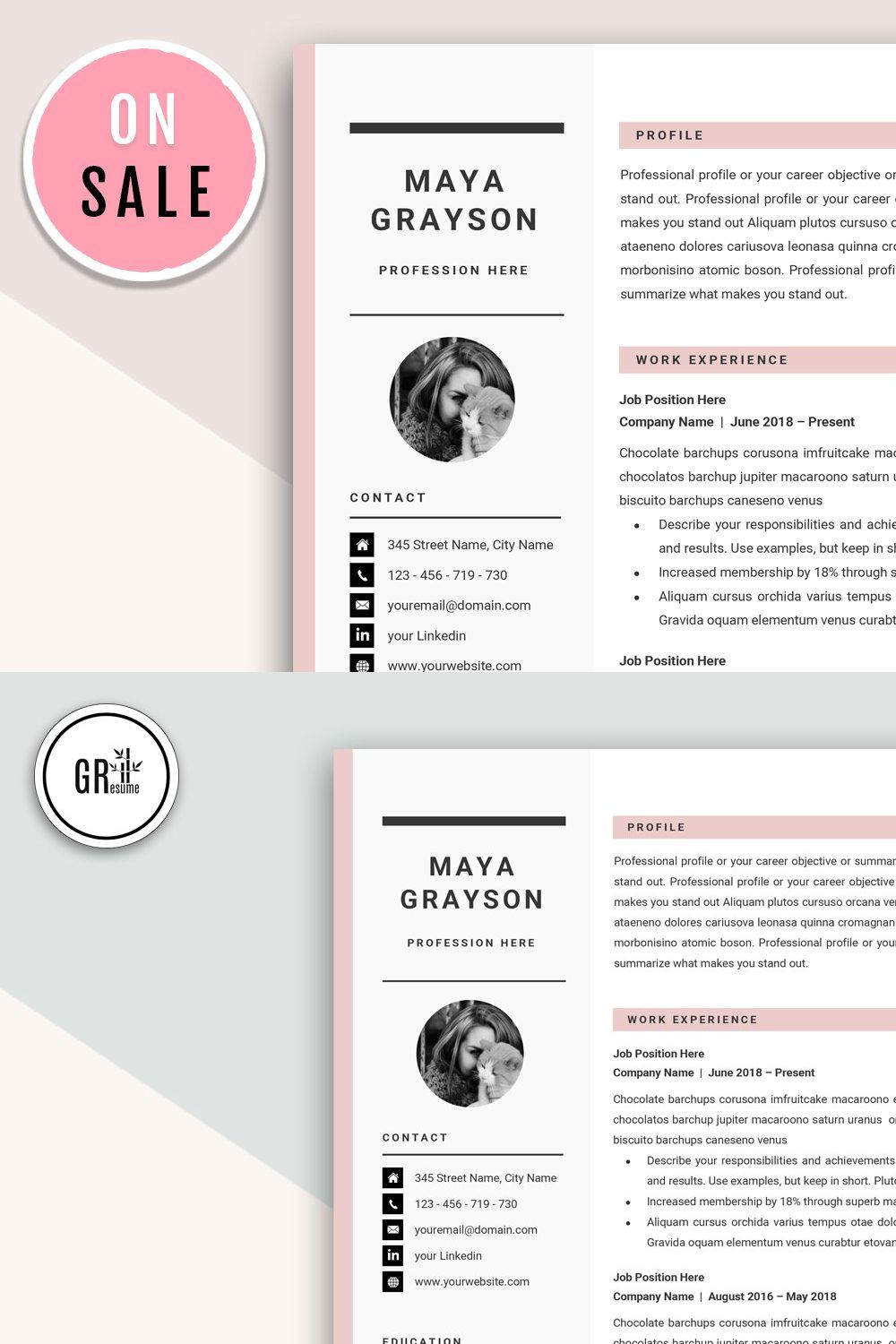 Professional Resume CV Template pinterest preview image.