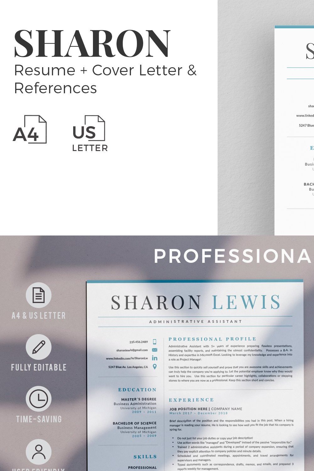 Professional Resume Format Example pinterest preview image.