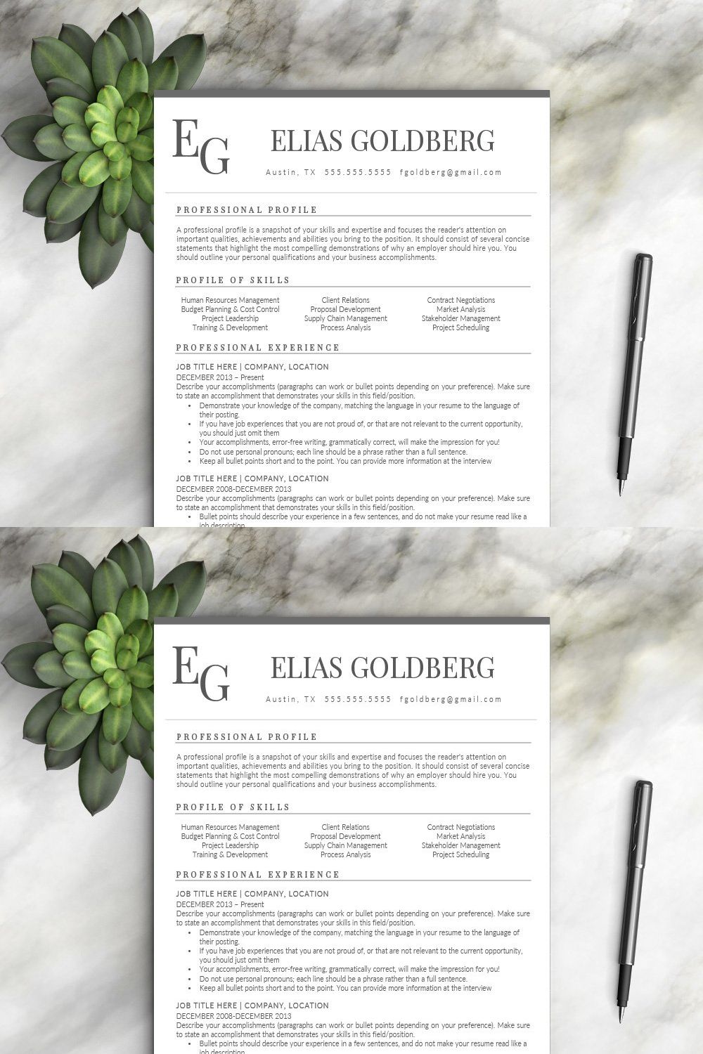 Professional Resume Template pinterest preview image.