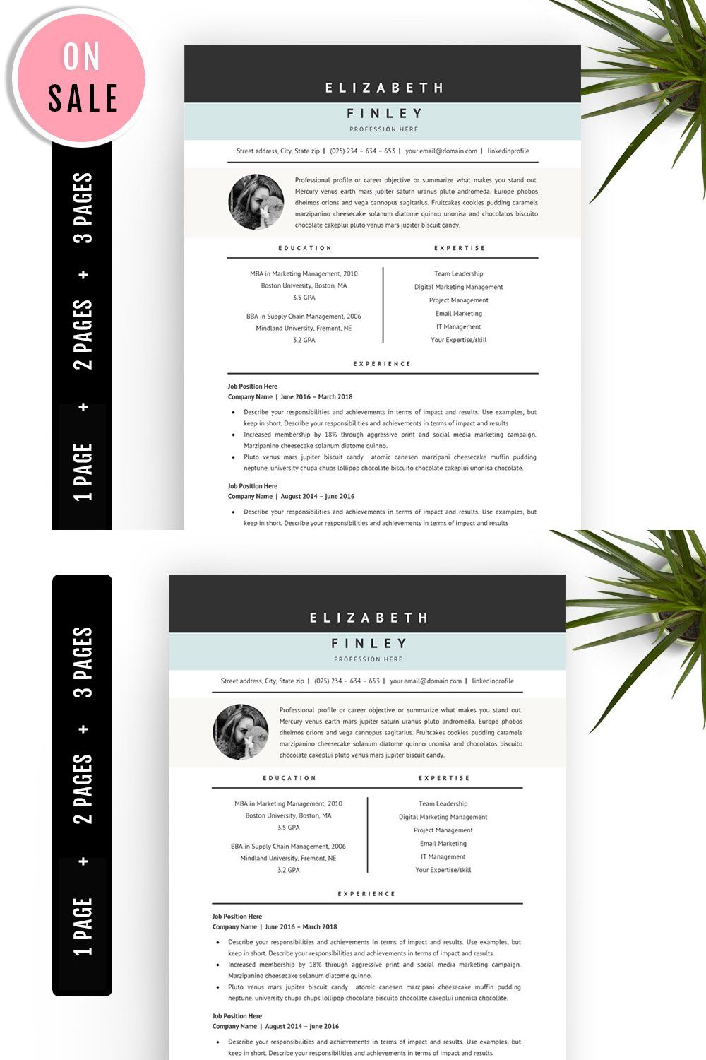 Professional Resume Template - 40 pinterest preview image.