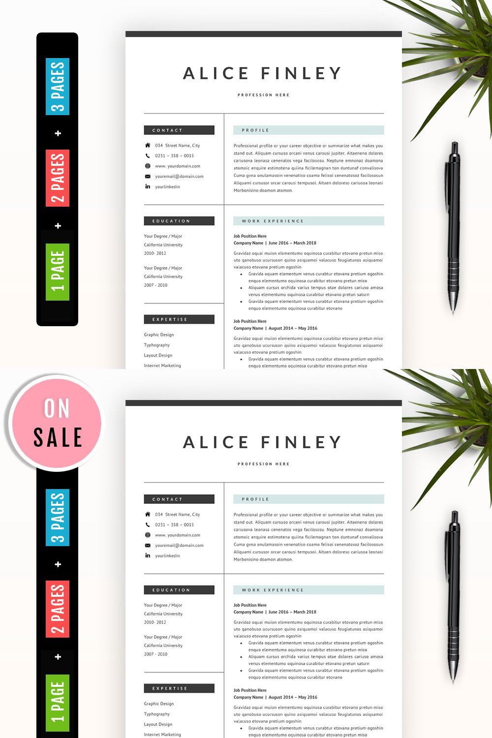 Professional Resume Template - 41 pinterest preview image.