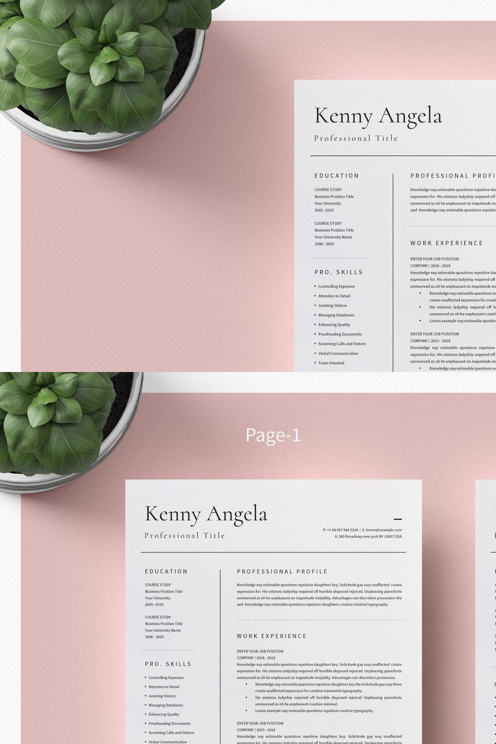 Professional Resume Template Word pinterest preview image.