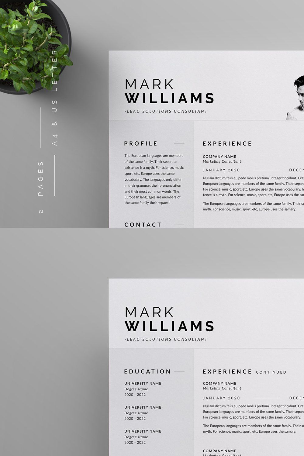 Resume/CV pinterest preview image.