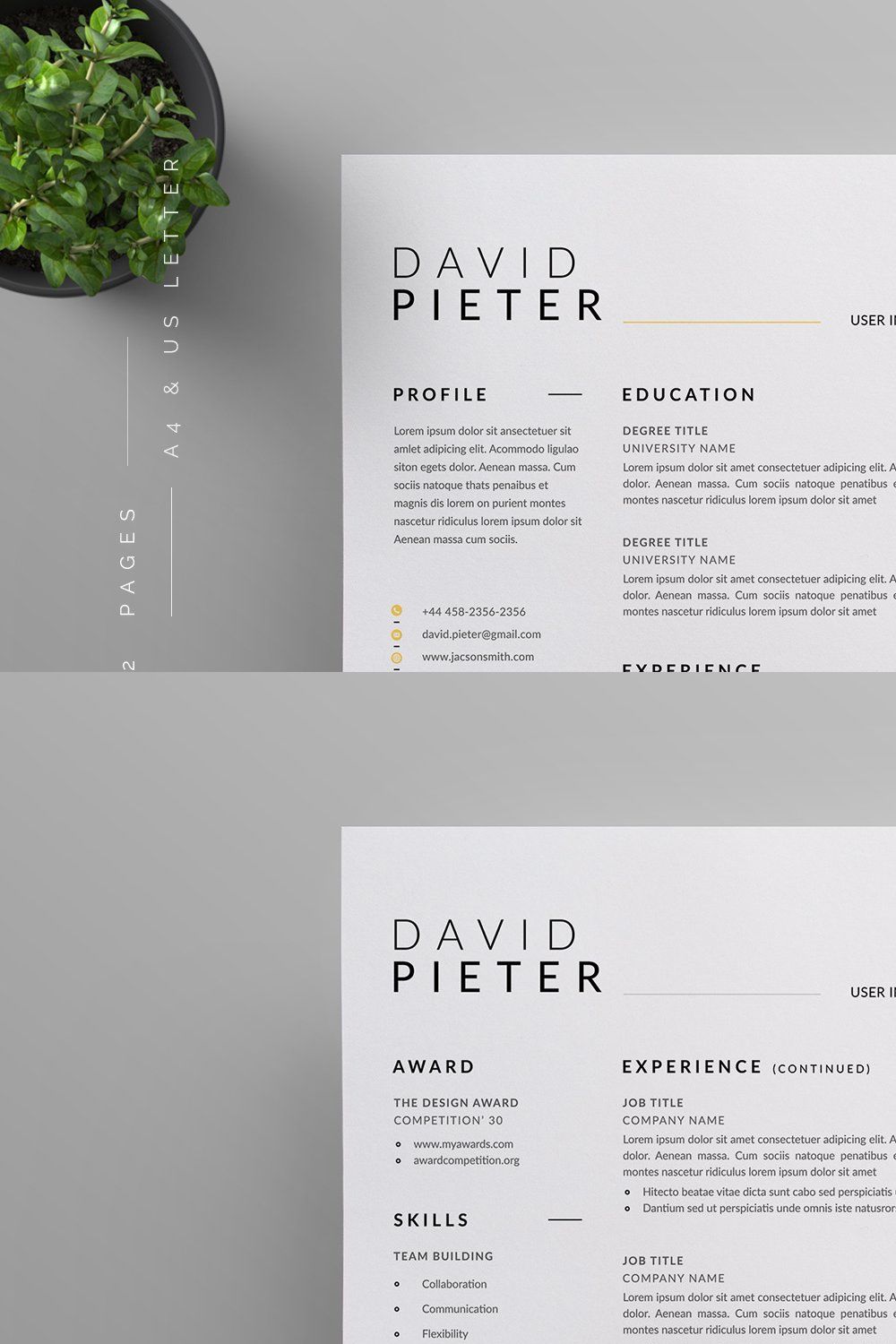 Resume/CV pinterest preview image.