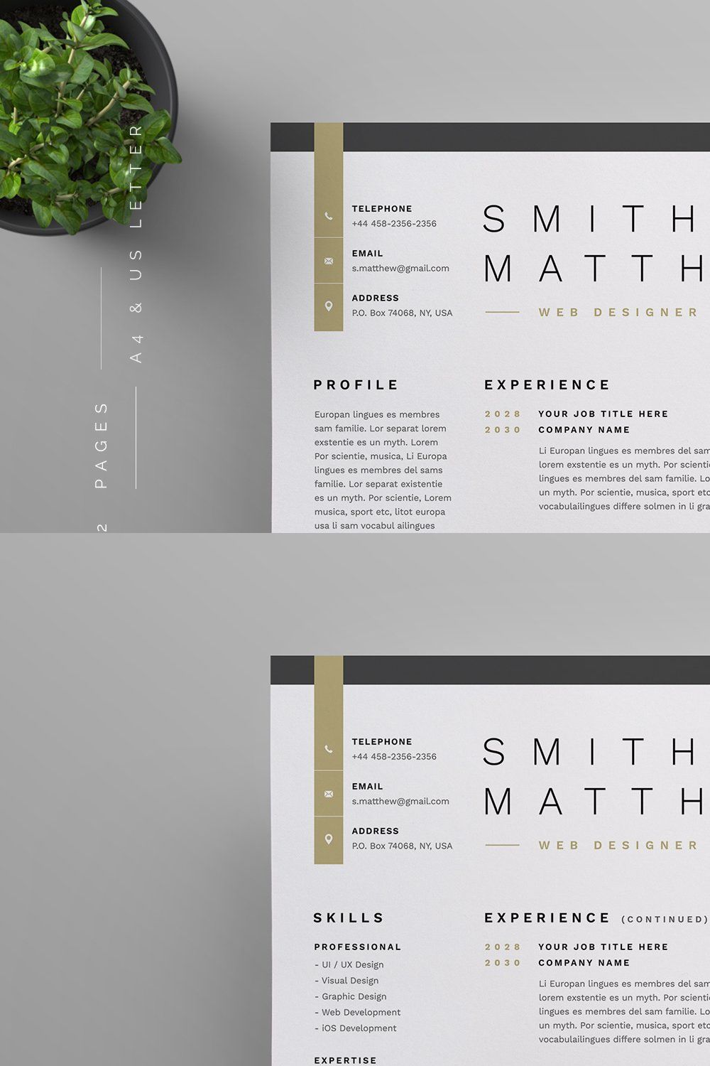 Resume/CV pinterest preview image.