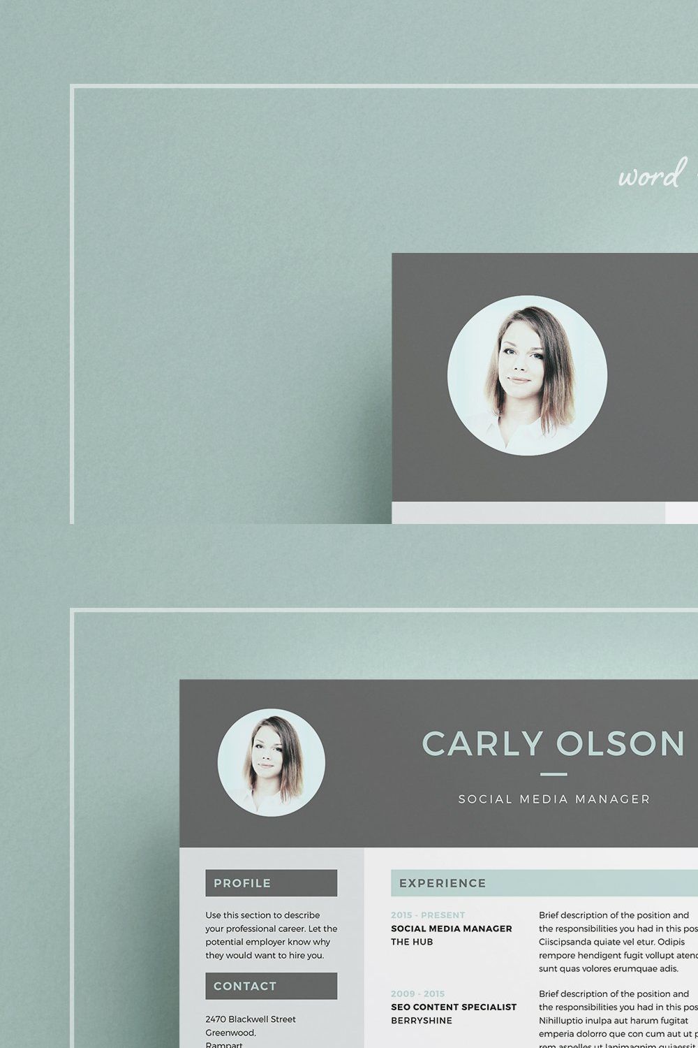 Resume/CV | Carly pinterest preview image.