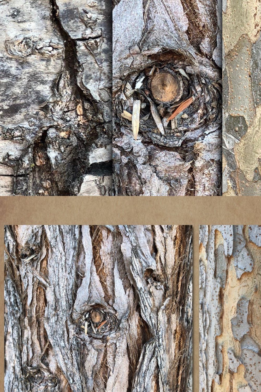 Tree bark and wood textures pinterest preview image.