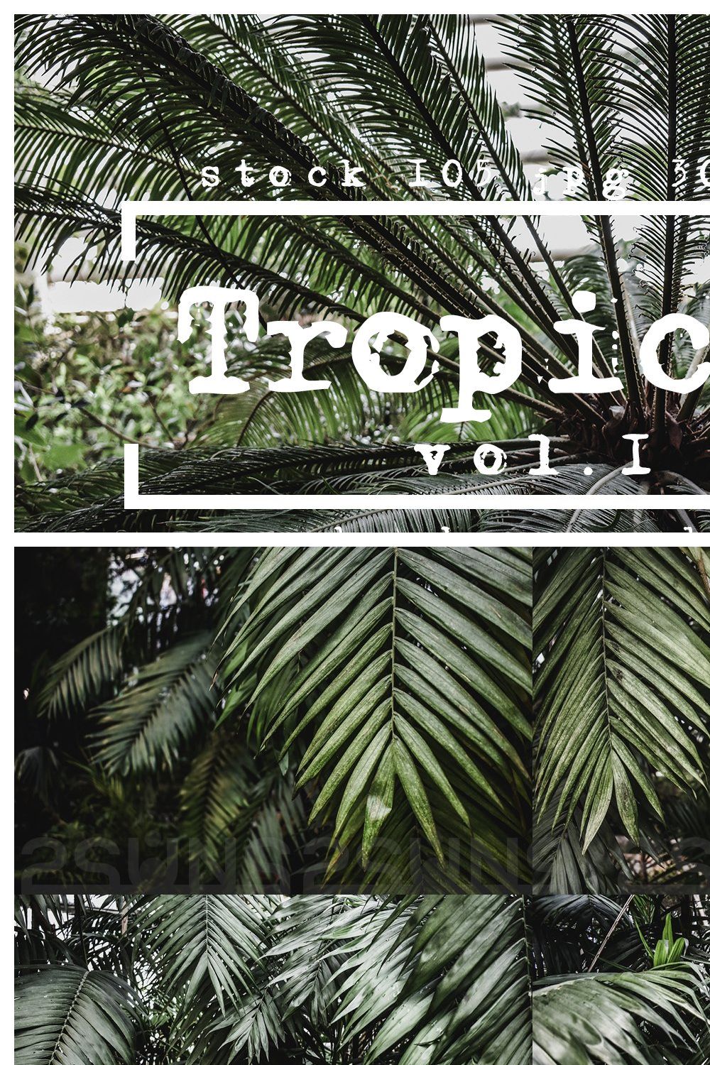 Tropical Photoshop textures pinterest preview image.
