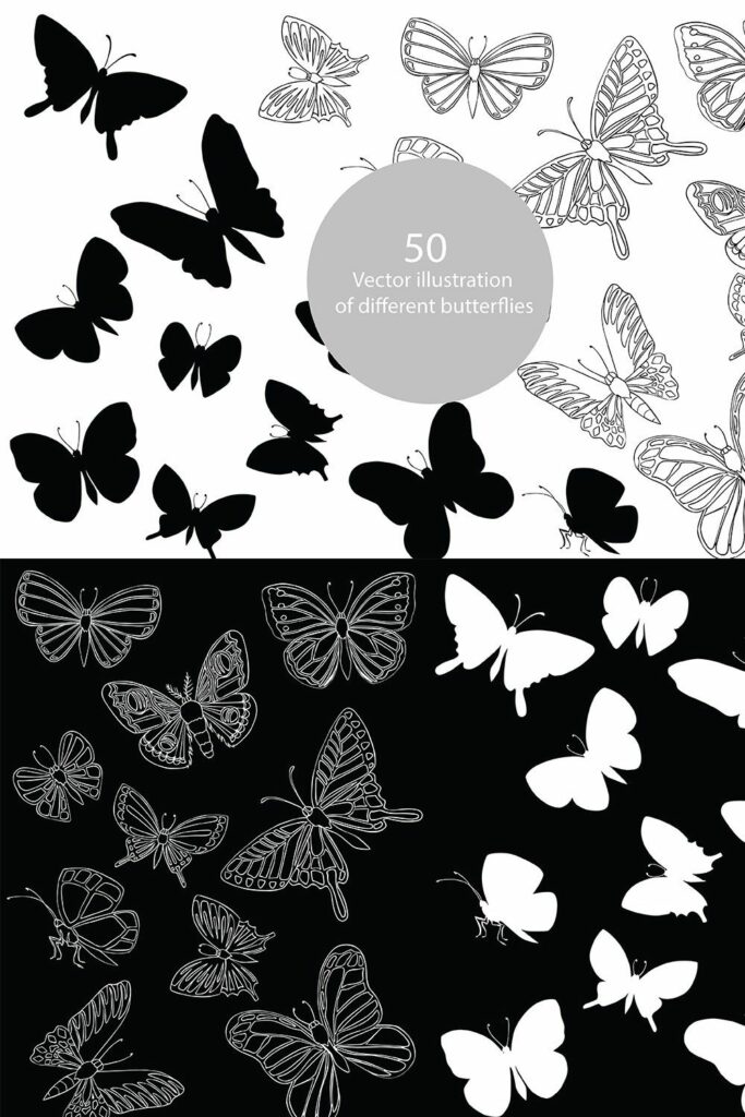 Vector illustration of butterflies – MasterBundles