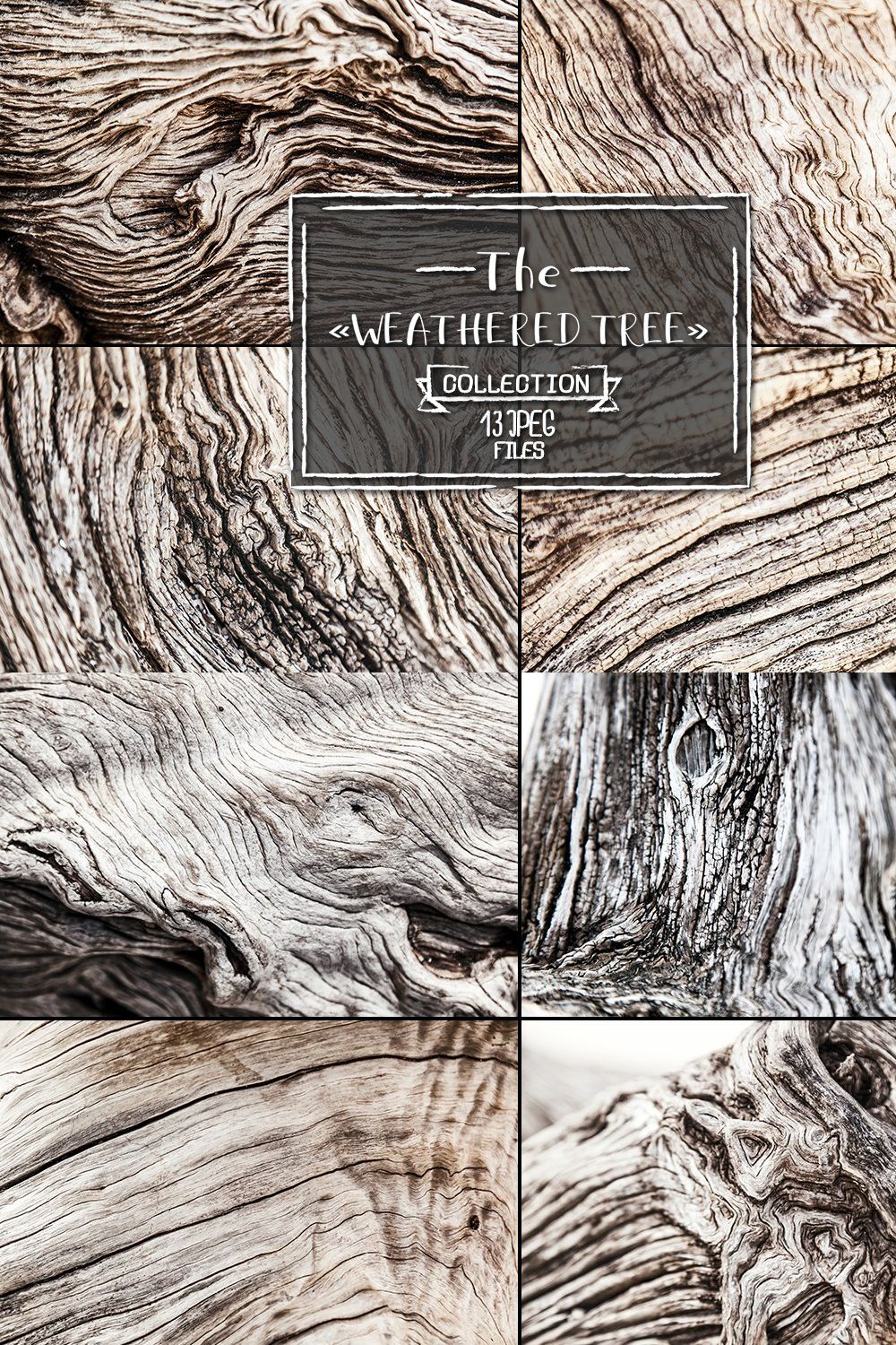 Weathered tree, set of 13 images pinterest preview image.
