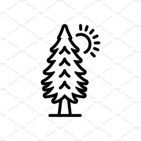 Pine trees icon cover image.