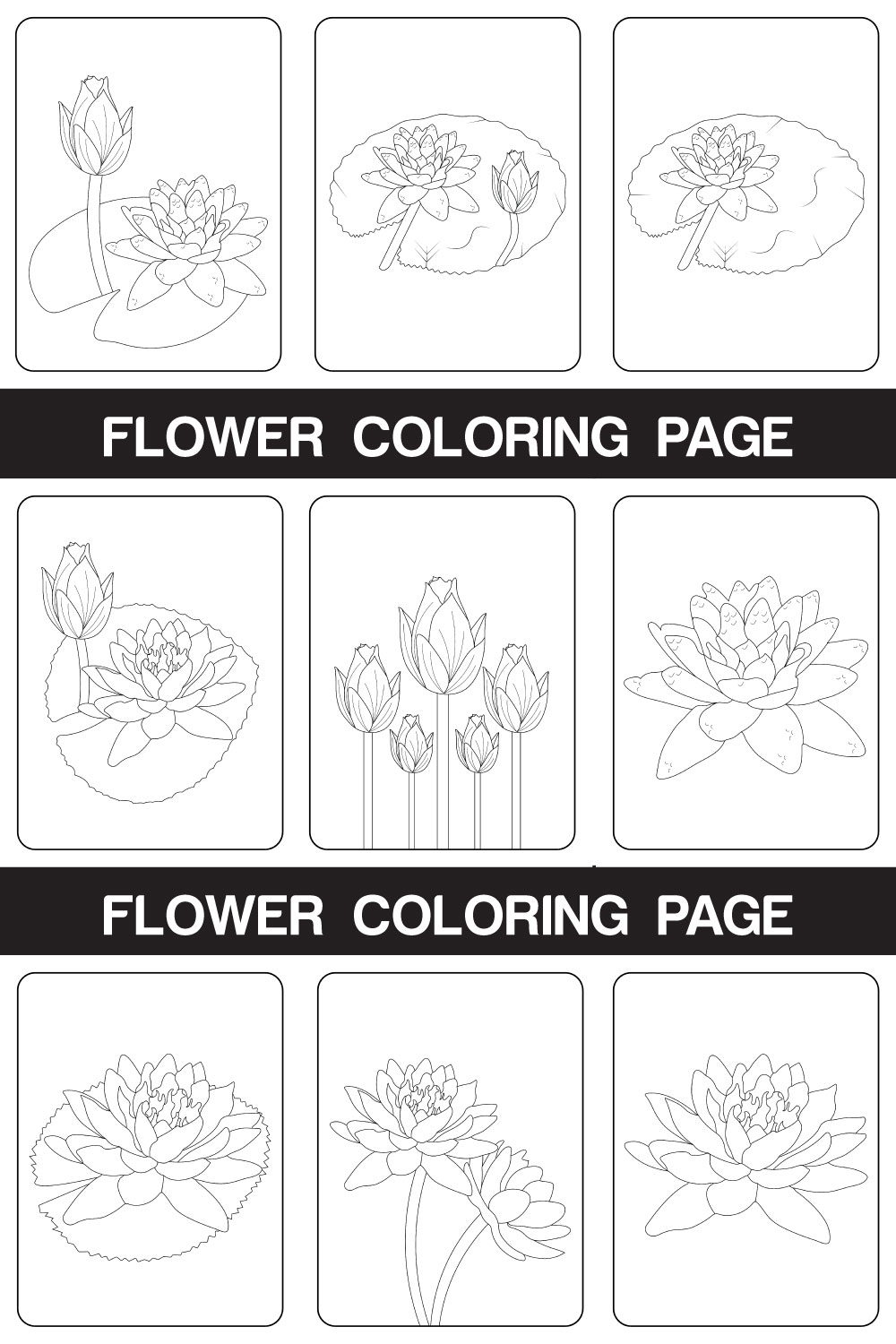 Water Lily Flower Coloring Page Hand Drawing Line Art Vector illustration pinterest preview image.