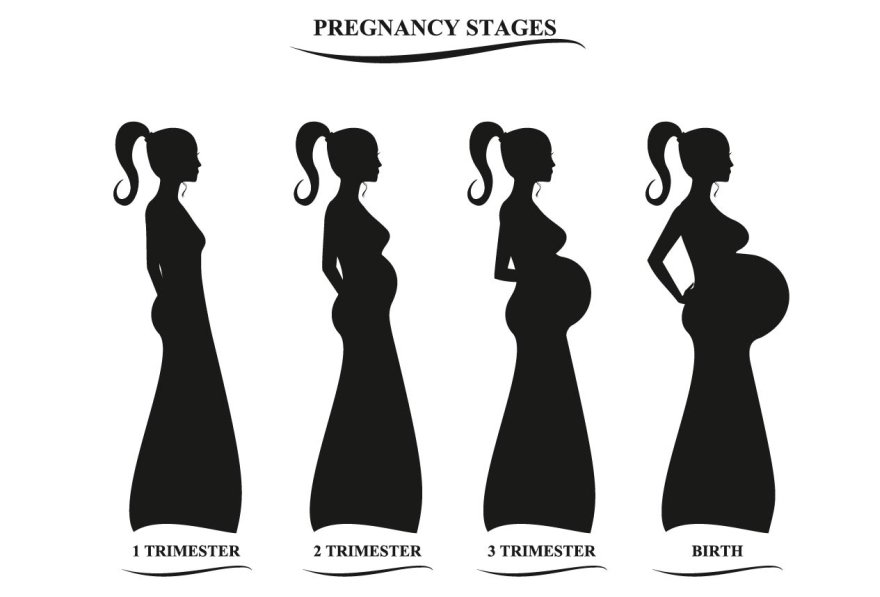 Pregnancy women silhouette cover image.