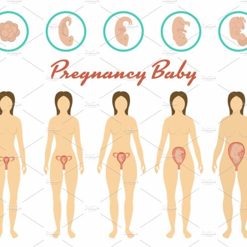 Changes in a woman in pregnancy cover image.