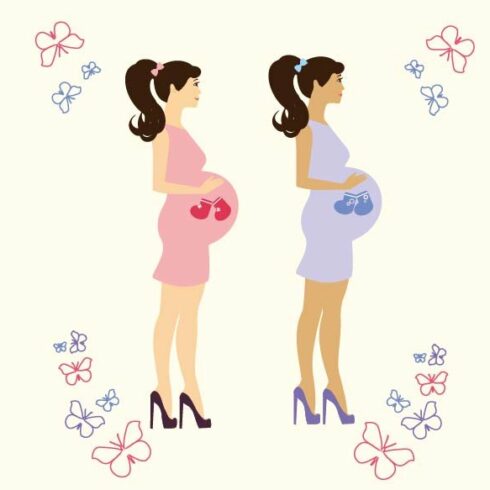 Pregnant Woman Vector illustration cover image.