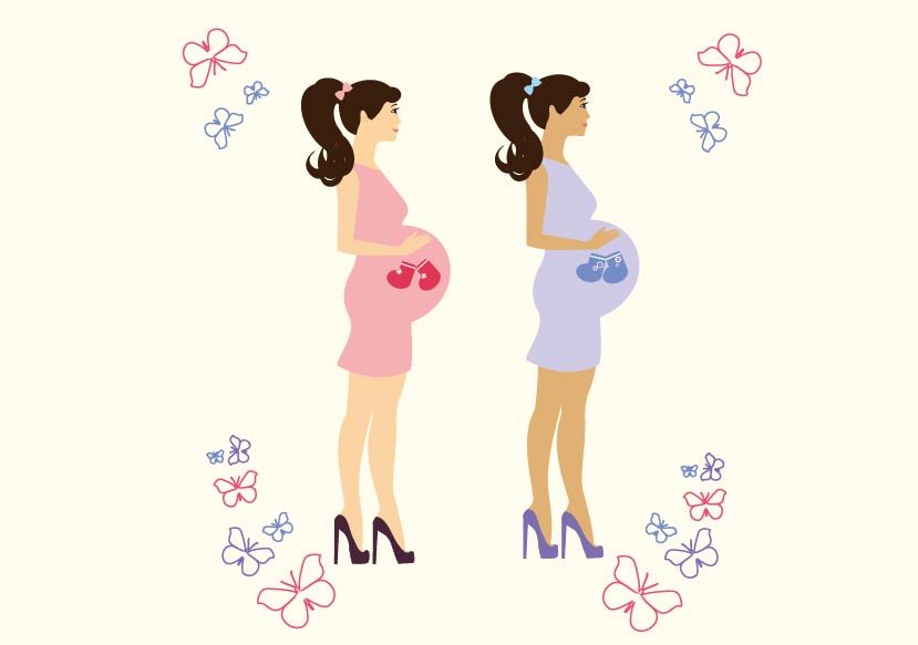Pregnant Woman Vector illustration cover image.