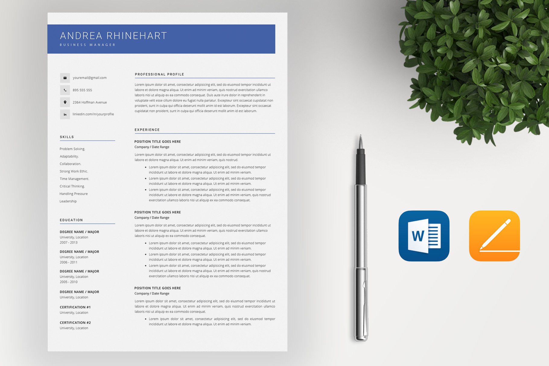 Clean Resume Template / 4 pages preview image.