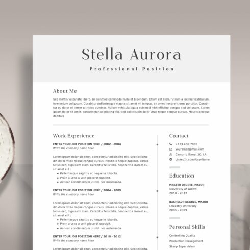 Professional Resume Template RE013 cover image.