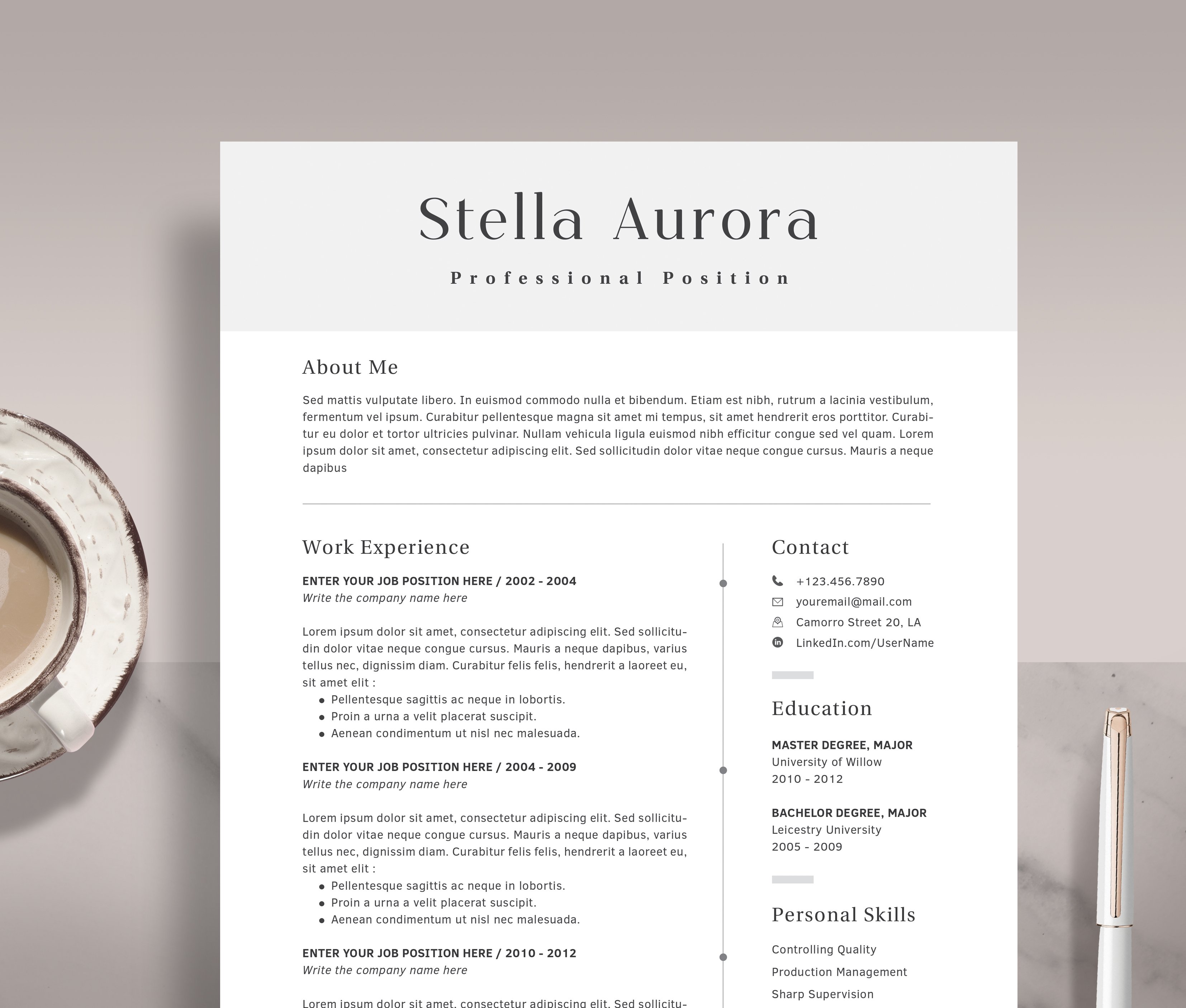 Professional Resume Template RE013 cover image.