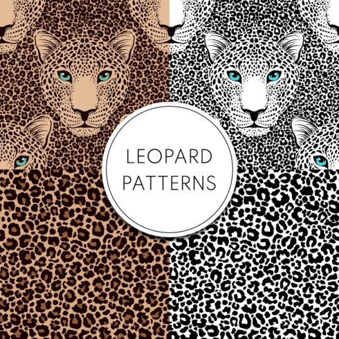 Leopard patterns cover image.