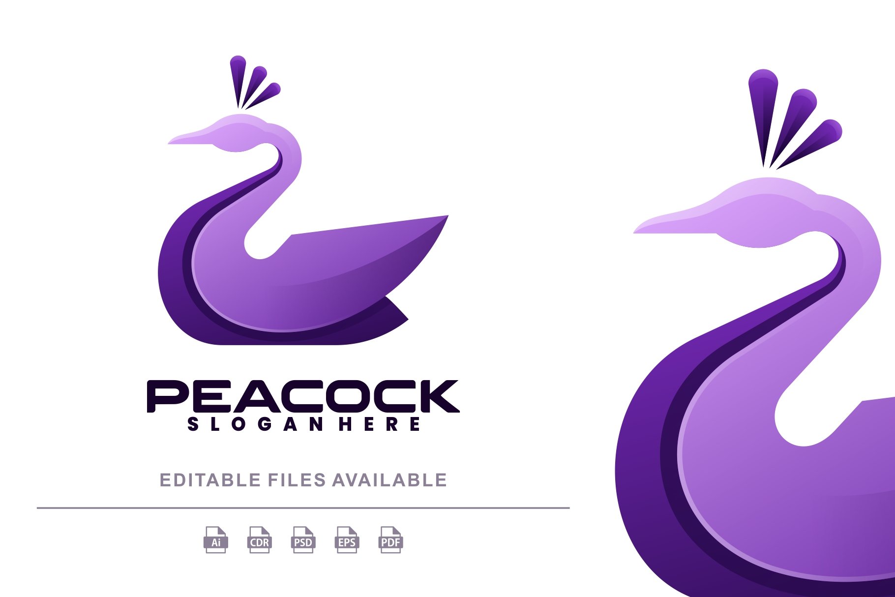 Peacock Gradient Colorful Logo cover image.