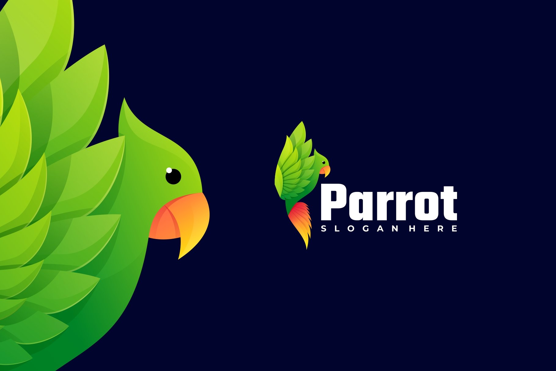 Bird Gradient Colorful Logo cover image.
